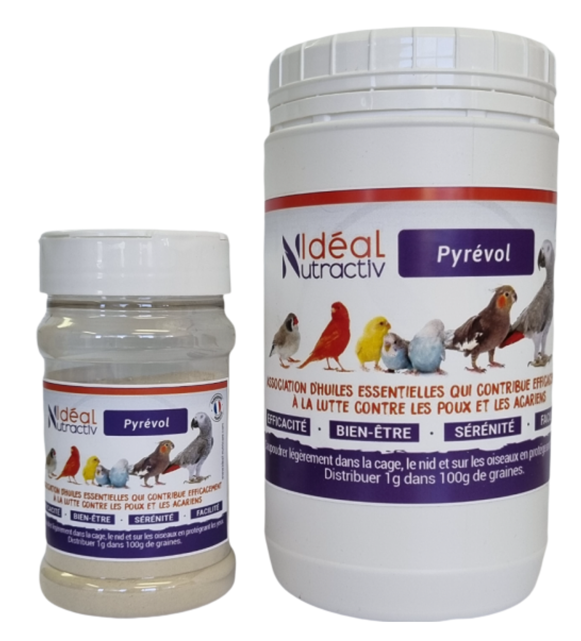 Poudre insecticide.