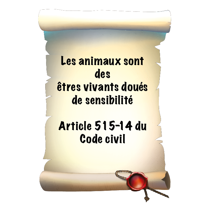 Droit animal
